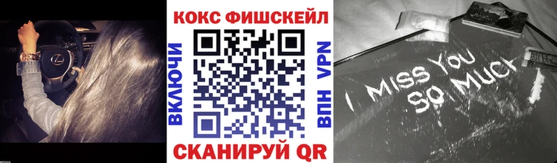 Кокаин FishScale  Купить где  Мамадыш 