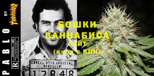 хмурый Арсеньев