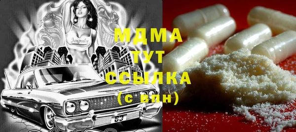 хмурый Арсеньев