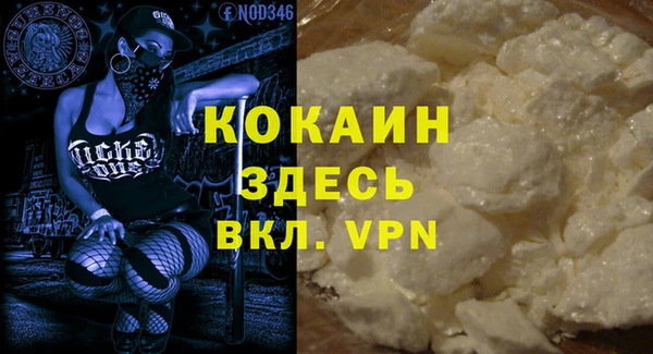 хмурый Арсеньев