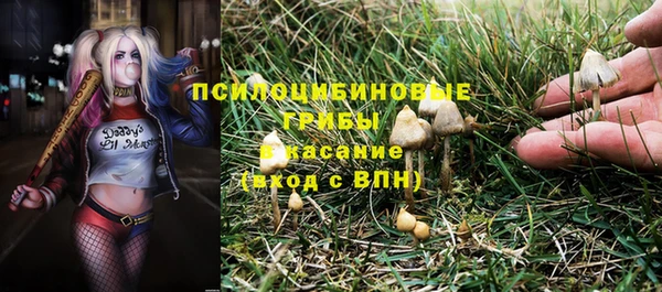 МДПВ Армянск